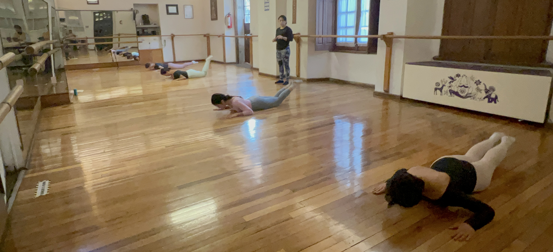 FEMDANZA | Academia de Jazz-Contempo, Ballet y Barra al piso.